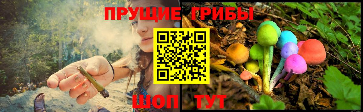 Псилоцибиновые грибы мухоморы  Вход с VPN  Галлюциногенные грибы прущие грибы  Аша 